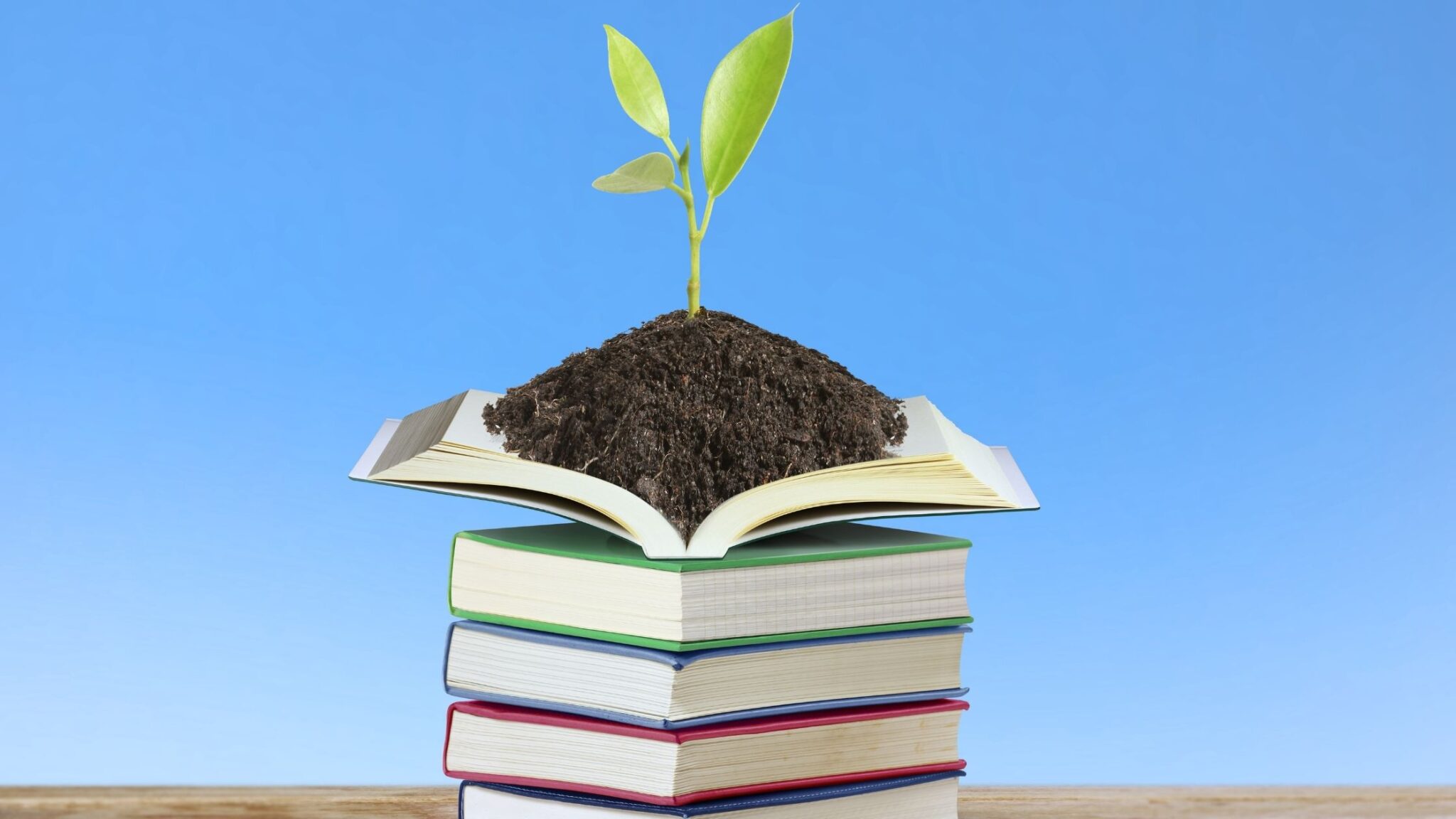 Best Plant Books Every Plant Nerd Must Read in Life