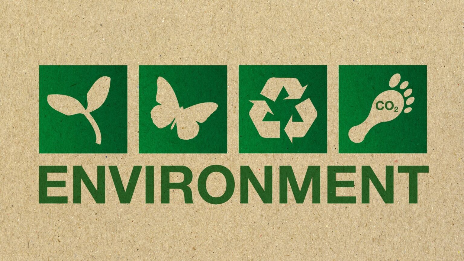 Environmental Awareness Understanding And Implementing It In Detail 10-ways-to-promote-environmental-awareness-at-work-rwb-group-uk