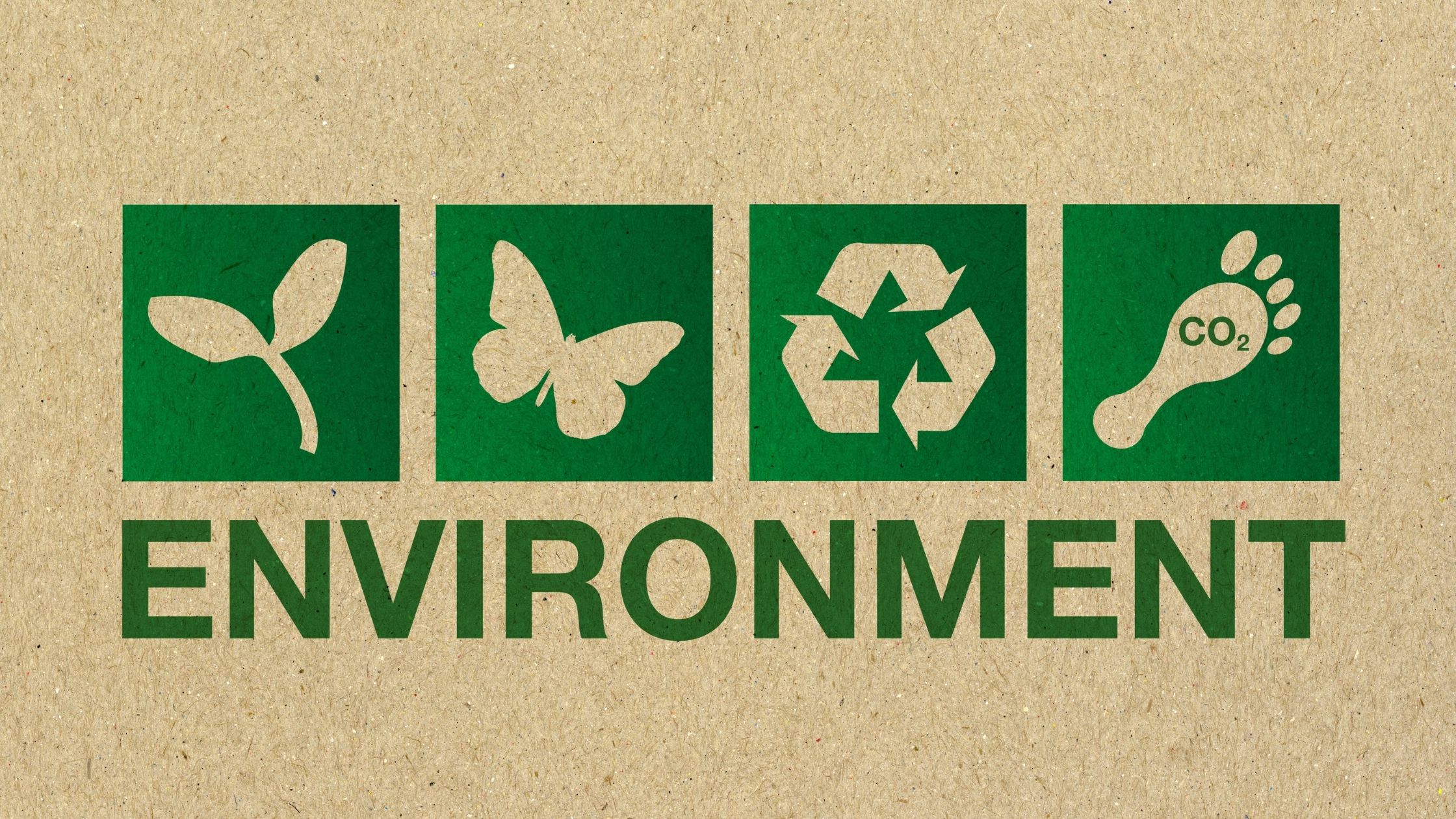 public awareness of environment creates is the need of the hour