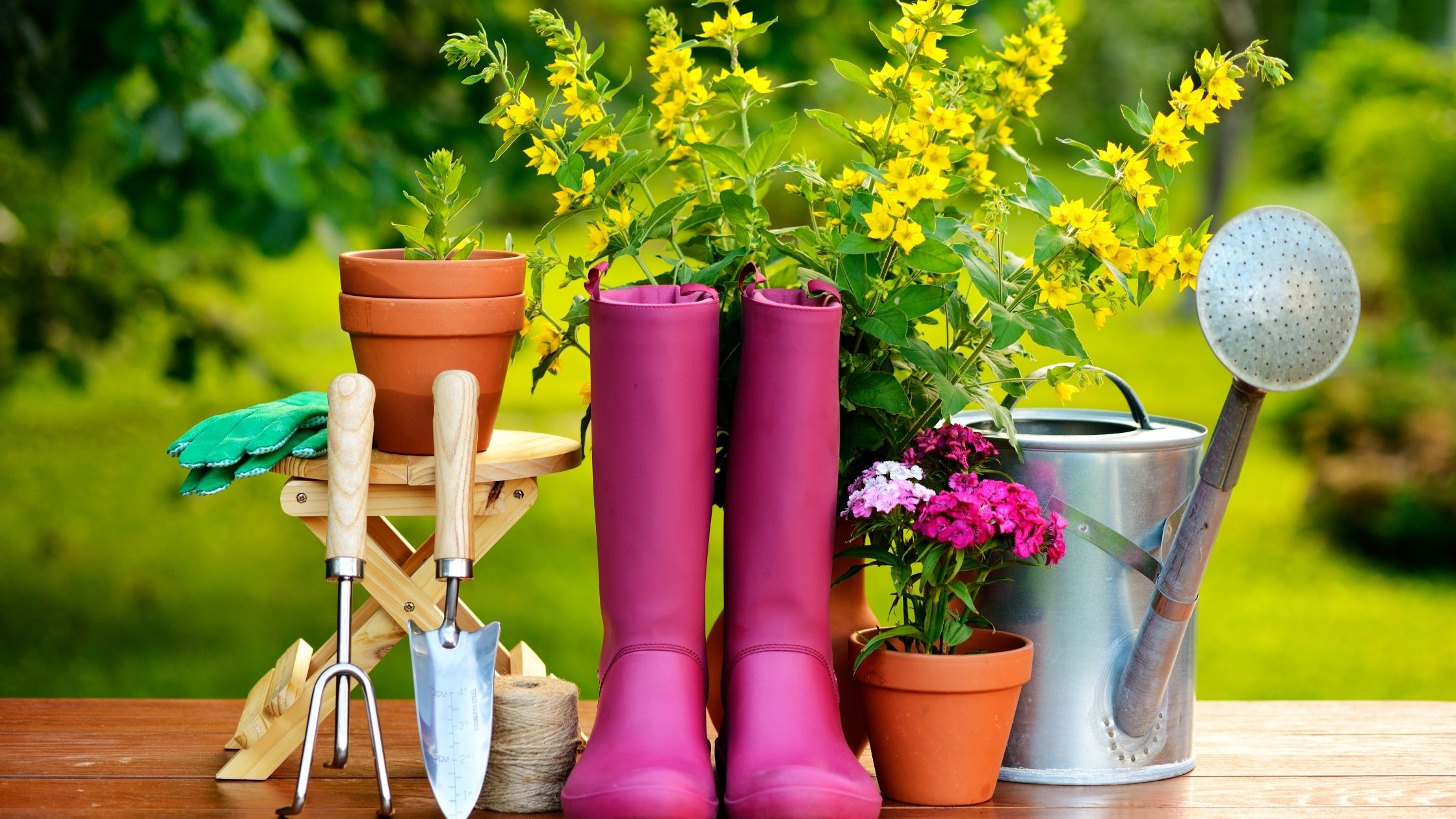 Offering gardening tools is an awesome gift idea for senior women