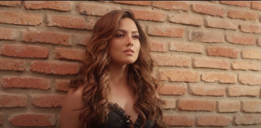 Sana Khan in Wajah Tum Ho