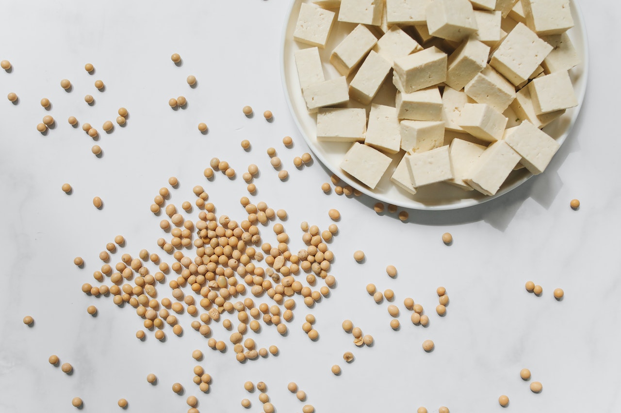 Tofu pieces in plate near soyabeans