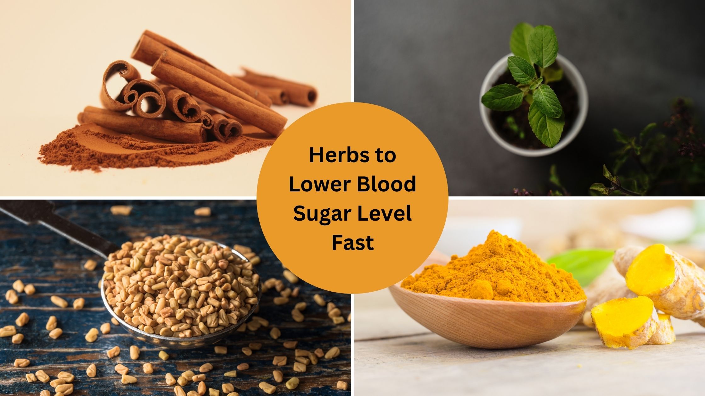 Herbs that Lower Blood Sugar Fast